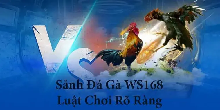 Bật Mí Cách Chơi Đá Gà WS168 Tại Luck8 Từ Các Chuyên Gia Hàng Đầu 2 Bật Mí Cách Chơi Đá Gà WS168 Tại Luck8 Từ Các Chuyên Gia Hàng Đầu