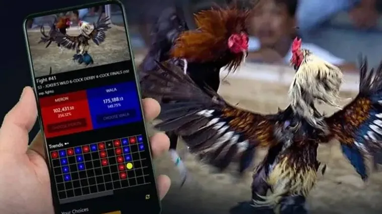 Đá Gà Luck8 Đỉnh Cao Trải Nghiệm Cá Cược Trực Tuyến Hàng Đầu