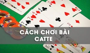 Hướng Dẫn Chi Tiết Cách Chơi Sắc Tê Luck8 Cho Người Mới Bắt Đầu