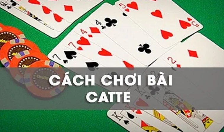 Hướng Dẫn Chi Tiết Cách Chơi Sắc Tê Luck8 Cho Người Mới Bắt Đầu 1 Hướng Dẫn Chi Tiết Cách Chơi Sắc Tê Luck8 Cho Người Mới Bắt Đầu